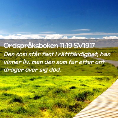 Picture 02 - Ordspråksboken 11:19 SV1917 - Den som står fast i rättfärdighet, han vinner - Bible Verse Picture