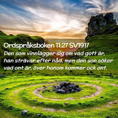 Picture 02 - Ordspråksboken 11:27 SV1917 - Den som vinnlägger sig om vad gott är, han - Bible Verse Picture
