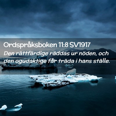 Picture 02 - Ordspråksboken 11:8 SV1917 - Den rättfärdige räddas ur nöden, och den - Bible Verse Picture