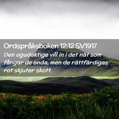 Picture 02 - Ordspråksboken 12:12 SV1917 - Den ogudaktige vill in i det nät som fångar de - Bible Verse Picture