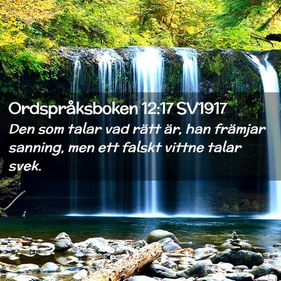 Picture 02 - Ordspråksboken 12:17 SV1917 - Den som talar vad rätt är, han främjar - Bible Verse Picture