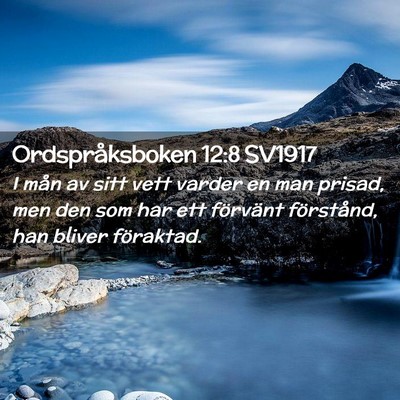 Picture 02 - Ordspråksboken 12:8 SV1917 - I mån av sitt vett varder en man prisad, men den - Bible Verse Picture