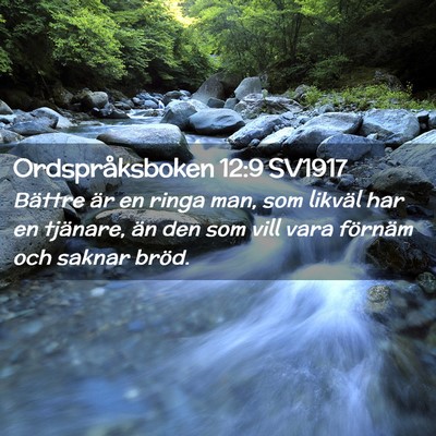 Picture 02 - Ordspråksboken 12:9 SV1917 - Bättre är en ringa man, som likväl har en - Bible Verse Picture