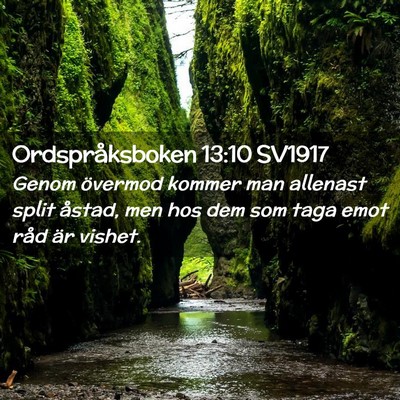 Picture 02 - Ordspråksboken 13:10 SV1917 - Genom övermod kommer man allenast split åstad, - Bible Verse Picture