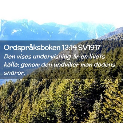 Picture 02 - Ordspråksboken 13:14 SV1917 - Den vises undervisning är en livets källa; - Bible Verse Picture