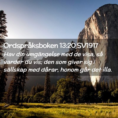 Picture 02 - Ordspråksboken 13:20 SV1917 - Hav din umgängelse med de visa, så varder du - Bible Verse Picture