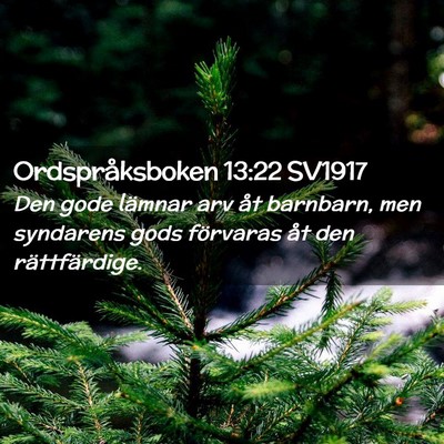 Picture 02 - Ordspråksboken 13:22 SV1917 - Den gode lämnar arv åt barnbarn, men syndarens - Bible Verse Picture