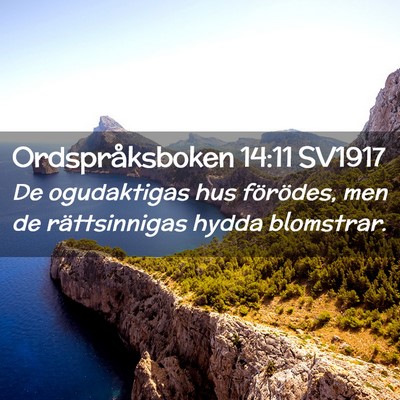 Picture 02 - Ordspråksboken 14:11 SV1917 - De ogudaktigas hus förödes, men de - Bible Verse Picture