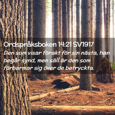 Picture 02 - Ordspråksboken 14:21 SV1917 - Den som visar förakt för sin nästa, han begår - Bible Verse Picture