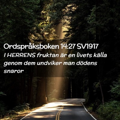 Picture 02 - Ordspråksboken 14:27 SV1917 - I HERRENS fruktan är en livets källa genom dem - Bible Verse Picture