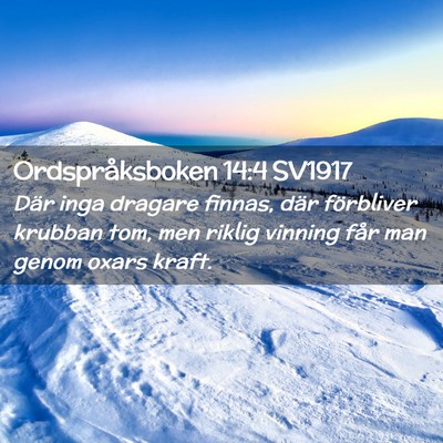 Picture 02 - Ordspråksboken 14:4 SV1917 - Där inga dragare finnas, där förbliver krubban - Bible Verse Picture