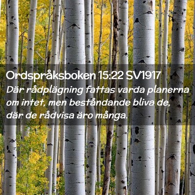 Picture 02 - Ordspråksboken 15:22 SV1917 - Där rådplägning fattas varda planerna om - Bible Verse Picture