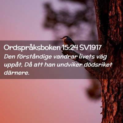 Picture 02 - Ordspråksboken 15:24 SV1917 - Den förståndige vandrar livets väg uppåt, Då - Bible Verse Picture