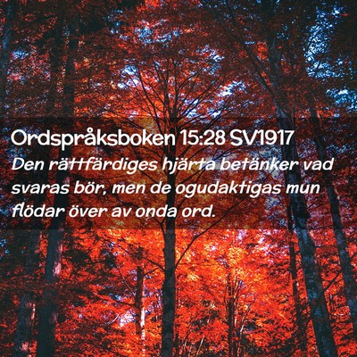 Picture 02 - Ordspråksboken 15:28 SV1917 - Den rättfärdiges hjärta betänker vad svaras - Bible Verse Picture