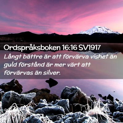 Picture 02 - Ordspråksboken 16:16 SV1917 - Långt bättre är att förvärva vishet än guld - Bible Verse Picture