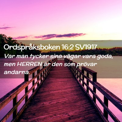 Picture 02 - Ordspråksboken 16:2 SV1917 - Var man tycker sina vägar vara goda, men HERREN - Bible Verse Picture
