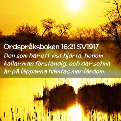 Picture 02 - Ordspråksboken 16:21 SV1917 - Den som har ett vist hjärta, honom kallar man - Bible Verse Picture