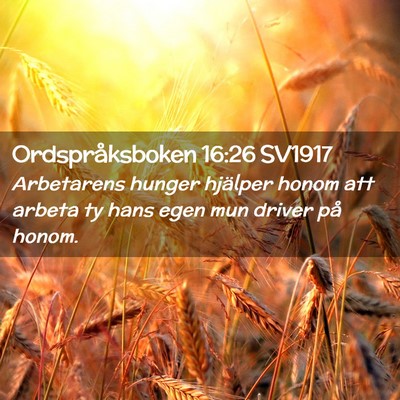 Picture 02 - Ordspråksboken 16:26 SV1917 - Arbetarens hunger hjälper honom att arbeta ty - Bible Verse Picture