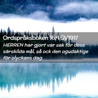 Picture 02 - Ordspråksboken 16:4 SV1917 - HERREN har gjort var sak för dess särskilda - Bible Verse Picture
