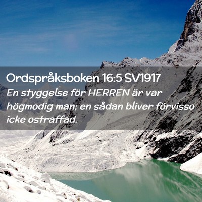 Picture 02 - Ordspråksboken 16:5 SV1917 - En styggelse för HERREN är var högmodig man; - Bible Verse Picture