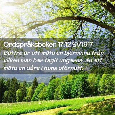 Picture 02 - Ordspråksboken 17:12 SV1917 - Bättre är att möta en björninna från vilken - Bible Verse Picture