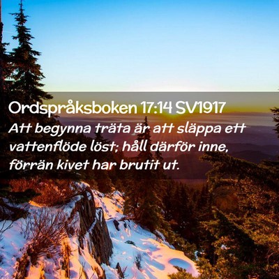 Picture 02 - Ordspråksboken 17:14 SV1917 - Att begynna träta är att släppa ett - Bible Verse Picture