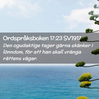 Picture 02 - Ordspråksboken 17:23 SV1917 - Den ogudaktige tager gärna skänker i lönndom, - Bible Verse Picture