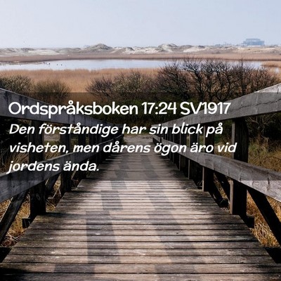 Picture 02 - Ordspråksboken 17:24 SV1917 - Den förståndige har sin blick på visheten, men - Bible Verse Picture