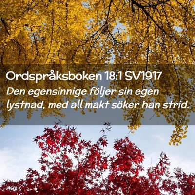 Picture 02 - Ordspråksboken 18:1 SV1917 - Den egensinnige följer sin egen lystnad, med all - Bible Verse Picture