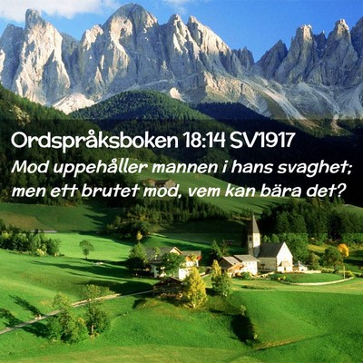 Picture 02 - Ordspråksboken 18:14 SV1917 - Mod uppehåller mannen i hans svaghet; men ett - Bible Verse Picture