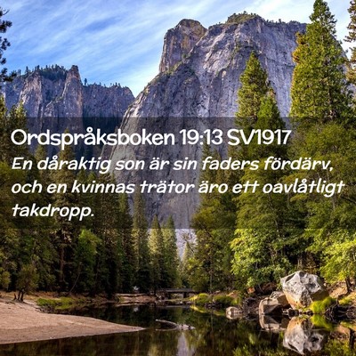 Picture 02 - Ordspråksboken 19:13 SV1917 - En dåraktig son är sin faders fördärv, och en - Bible Verse Picture