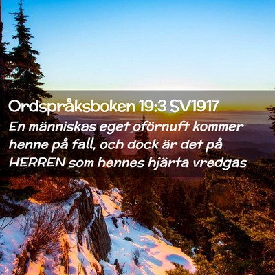 Picture 02 - Ordspråksboken 19:3 SV1917 - En människas eget oförnuft kommer henne på - Bible Verse Picture