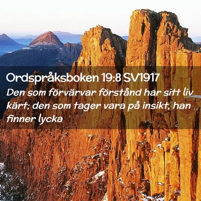 Picture 02 - Ordspråksboken 19:8 SV1917 - Den som förvärvar förstånd har sitt liv - Bible Verse Picture