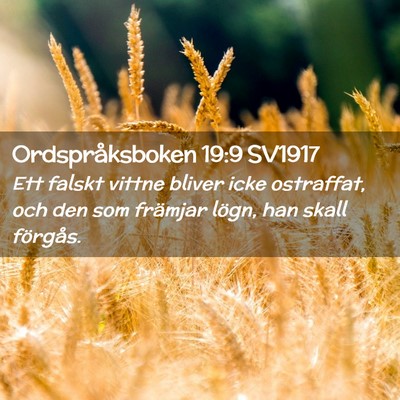 Picture 02 - Ordspråksboken 19:9 SV1917 - Ett falskt vittne bliver icke ostraffat, och den - Bible Verse Picture