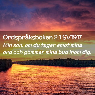 Picture 02 - Ordspråksboken 2:1 SV1917 - Min son, om du tager emot mina ord och gömmer - Bible Verse Picture