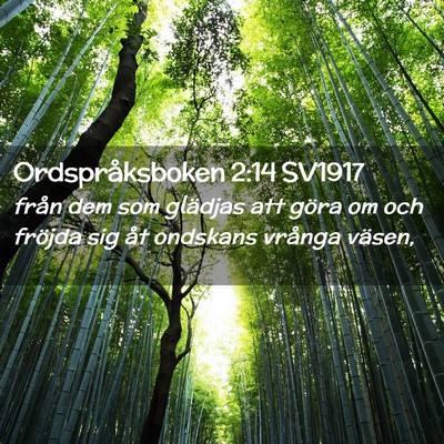 Picture 02 - Ordspråksboken 2:14 SV1917 - från dem som glädjas att göra om och fröjda - Bible Verse Picture