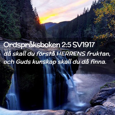 Picture 02 - Ordspråksboken 2:5 SV1917 - då skall du förstå HERRENS fruktan, och Guds - Bible Verse Picture