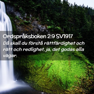 Picture 02 - Ordspråksboken 2:9 SV1917 - Då skall du förstå rättfärdighet och rätt - Bible Verse Picture
