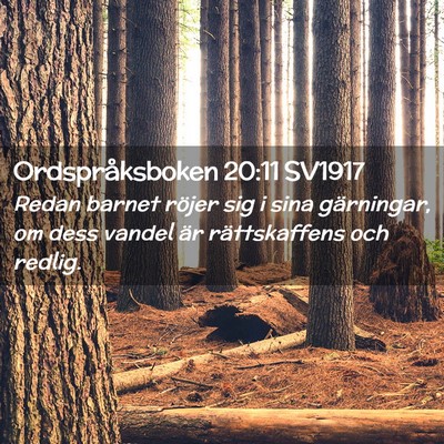 Picture 02 - Ordspråksboken 20:11 SV1917 - Redan barnet röjer sig i sina gärningar, om - Bible Verse Picture