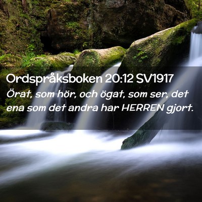 Picture 02 - Ordspråksboken 20:12 SV1917 - Örat, som hör, och ögat, som ser, det ena som - Bible Verse Picture