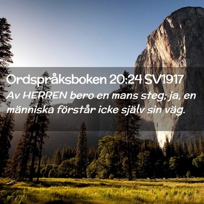 Picture 02 - Ordspråksboken 20:24 SV1917 - Av HERREN bero en mans steg; ja, en människa - Bible Verse Picture