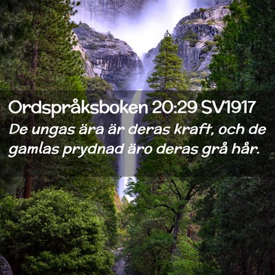 Picture 02 - Ordspråksboken 20:29 SV1917 - De ungas ära är deras kraft, och de gamlas - Bible Verse Picture