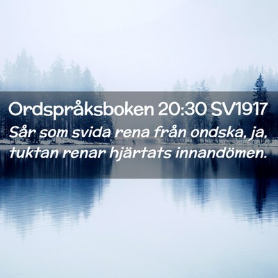 Picture 02 - Ordspråksboken 20:30 SV1917 - Sår som svida rena från ondska, ja, tuktan - Bible Verse Picture