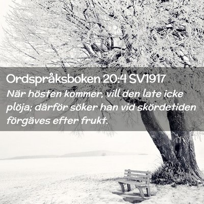 Picture 02 - Ordspråksboken 20:4 SV1917 - När hösten kommer, vill den late icke plöja; - Bible Verse Picture