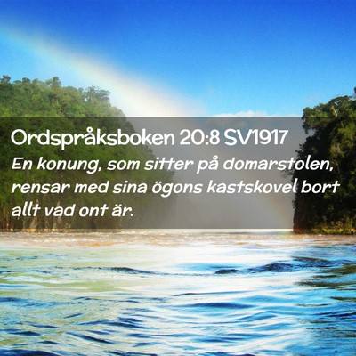 Picture 02 - Ordspråksboken 20:8 SV1917 - En konung, som sitter på domarstolen, rensar med - Bible Verse Picture