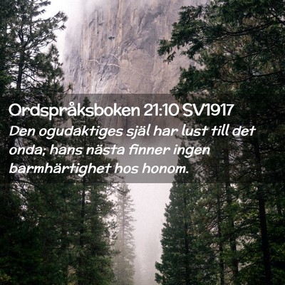 Picture 02 - Ordspråksboken 21:10 SV1917 - Den ogudaktiges själ har lust till det onda; - Bible Verse Picture