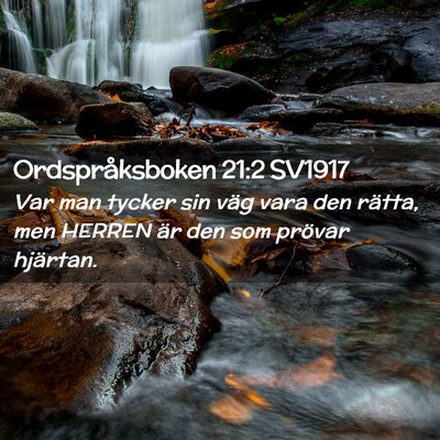 Picture 02 - Ordspråksboken 21:2 SV1917 - Var man tycker sin väg vara den rätta, men - Bible Verse Picture