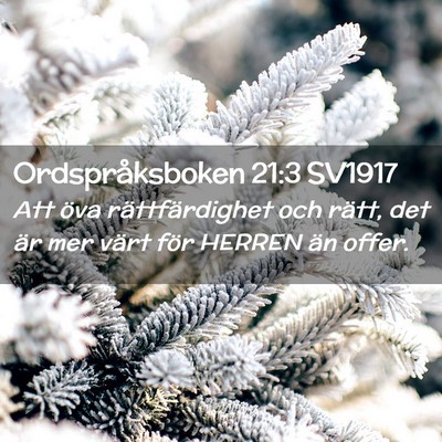 Picture 02 - Ordspråksboken 21:3 SV1917 - Att öva rättfärdighet och rätt, det är mer - Bible Verse Picture