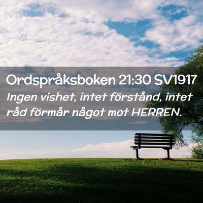 Picture 02 - Ordspråksboken 21:30 SV1917 - Ingen vishet, intet förstånd, intet råd - Bible Verse Picture