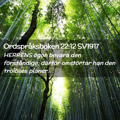 Picture 02 - Ordspråksboken 22:12 SV1917 - HERRENS ögon bevara den förståndige; därför - Bible Verse Picture
